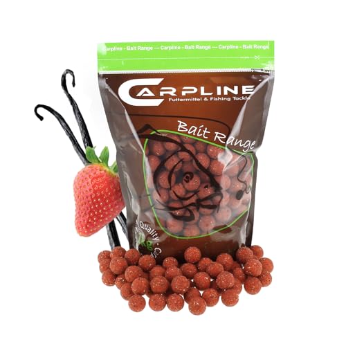 Carpline24 Boilies Erdbeere Scopex 20 mm, 5 kg Beutel - Köder für das Karpfenangeln, Futterboilies zum Anfüttern von Karpfen, Angelfutter mit Lockstoff von Carpline24