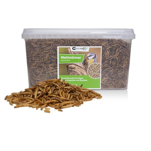 Carpline24 Getrocknete Mehlwürmer 1 kg - Proteinreiche Insekten als Futter für Reptilien, Nager, Igel & Fische, Vogelfutter, Winterfutter von Carpline24