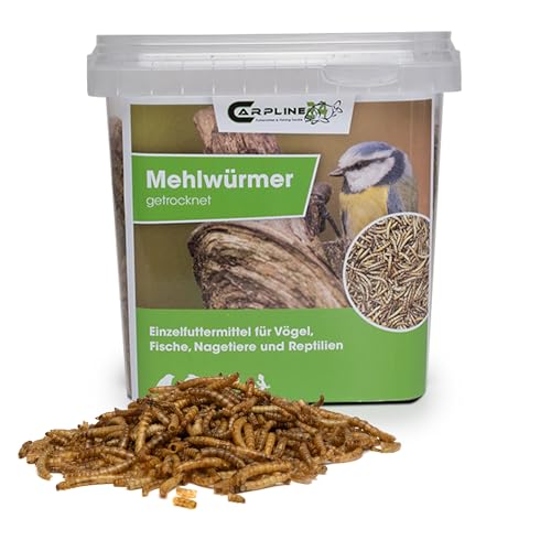 Carpline24 Getrocknete Mehlwürmer 1000 ml - Proteinreiche Insekten als Futter für Reptilien, Nager, Igel & Fische, Vogelfutter, Winterfutter von Carpline24