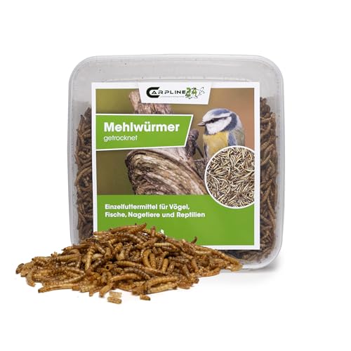 Carpline24 Getrocknete Mehlwürmer 2000 ml - Proteinreiche Insekten als Futter für Reptilien, Nager, Igel & Fische, Vogelfutter, Winterfutter von Carpline24