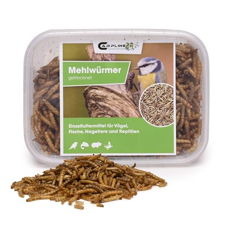Carpline24 Getrocknete Mehlwürmer 250 ml - Proteinreiche Insekten als Futter für Reptilien, Nager, Igel & Fische, Vogelfutter, Winterfutter von Carpline24