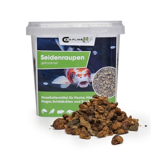Carpline24 Getrocknete Seidenraupen 250g - Proteinreiche Insekten als Futter für Vögel, Koi, Reptilien, Igel & Nager, Vogelfutter, Fischfutter von Carpline24