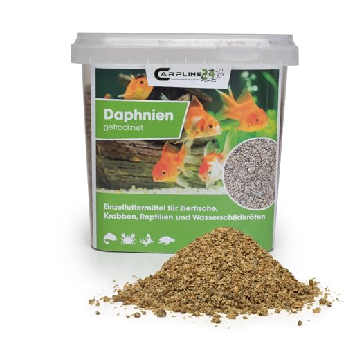 Carpline24 Getrocknete Wasserflöhe Daphnien 1000ml - Fischfutter für Teichfische & Zierfische, Natürliches Futter für Wasserschildkröten, Reptilien & Vögel von Carpline24