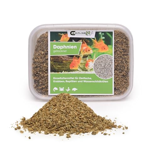 Carpline24 Getrocknete Wasserflöhe Daphnien 250ml - Fischfutter für Teichfische & Zierfische, Natürliches Futter für Wasserschildkröten, Reptilien & Vögel von Carpline24