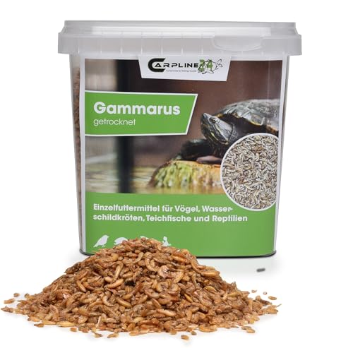 Carpline24 Bachflohkrebse Gammarus 1000ml - Getrocknete Insekten als Futter für Schildkröten, Axolotl, Vögel & Nager, Fischfutter für Aquarium & Teich von Carpline24
