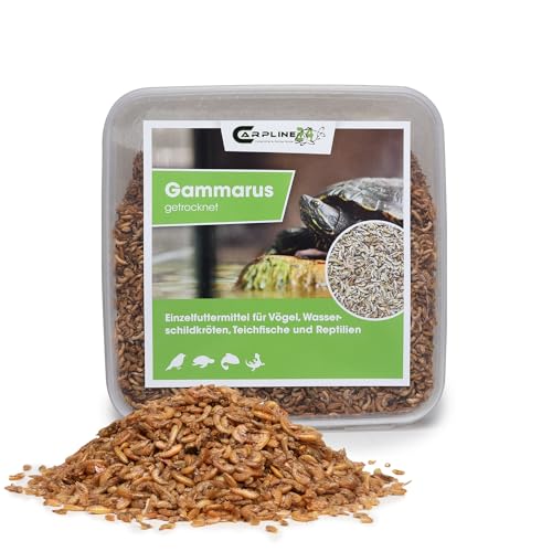 Carpline24 Bachflohkrebse Gammarus 2000ml - Getrocknete Insekten als Futter für Schildkröten, Axolotl, Vögel & Nager, Fischfutter für Aquarium & Teich von Carpline24