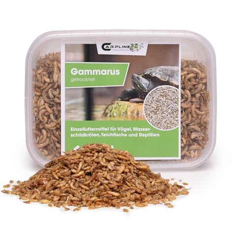 Carpline24 Bachflohkrebse Gammarus 250ml - Getrocknete Insekten als Futter für Schildkröten, Axolotl, Vögel & Nager, Fischfutter für Aquarium & Teich von Carpline24