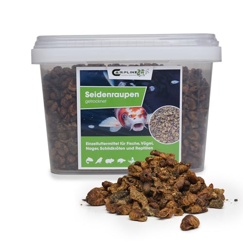 Carpline24 Getrocknete Seidenraupen 1kg - Proteinreiche Insekten als Futter für Vögel, Koi, Reptilien, Igel & Nager, Vogelfutter, Fischfutter Carpline24 Getrocknete Seidenraupen 1kg - Proteinreiche Insekten als Futter für Vögel, Koi, Reptilien, Igel & Nager, Vogelfutter, Fischfutter von Carpline24