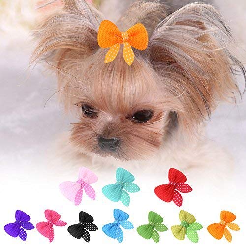 Carry stone 10 stücke Nette Haustier Hund Katze Schönheit Liefert Bögen Haarnadel Pet Haarspange Kopfschmuck Nützlich und Praktisch Carry stone 10 stücke Nette Haustier Hund Katze Schönheit Liefert Bögen Haarnadel Pet Haarspange Kopfschmuck Nützlich und Praktisch von Carry stone