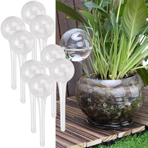 Casativo-Garden 4er-Set Wassersparende Pflanzen Bewässerungskugeln aus Glas, Ø 6 x H 15 cm, Giesskugeln transparent, ideal für Zuhause, Büro und Ferien Casativo-Garden 4er-Set Wassersparende Pflanzen Bewässerungskugeln aus Glas, Ø 6 x H 15 cm, Giesskugeln transparent, ideal für Zuhause, Büro und Ferien von Casativo