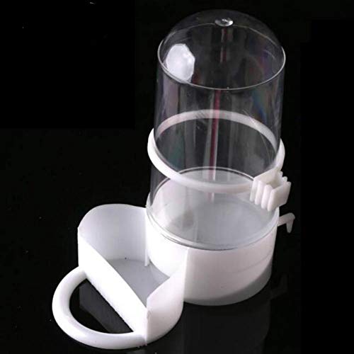 Haustier-Vogel Automatischer Trinker Feeder Wasserspender Clip Große Parrot Hedgehog Bird Feeder Haustier-Vogel Automatischer Trinker Feeder Wasserspender Clip Große Parrot Hedgehog Bird Feeder von Casecover