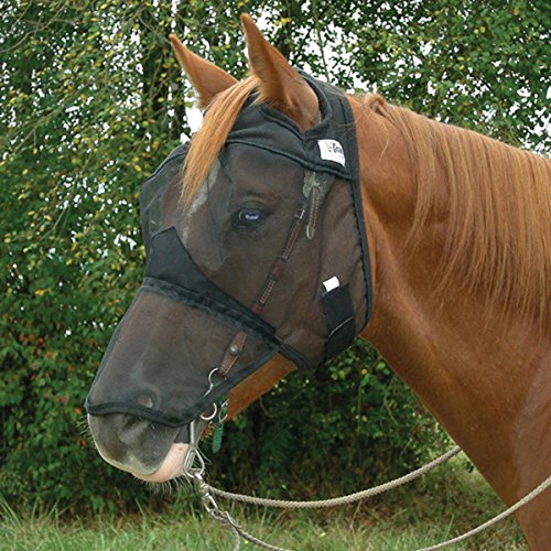 Cashel Quiet Ride Horse Fliegenmaske mit Langer Nase, schwarz, Pferd von Cashel