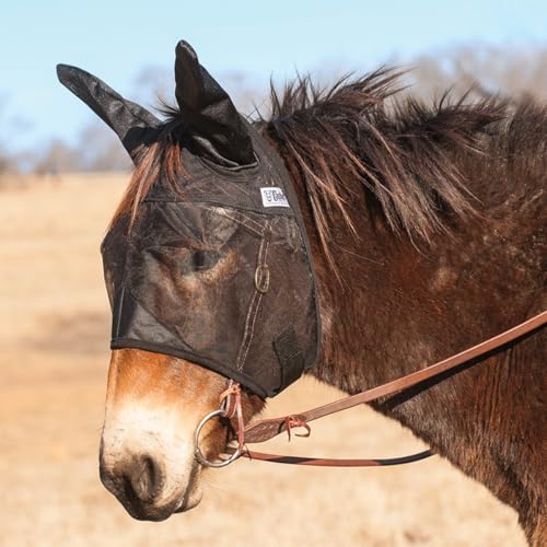 Cashel Quiet Ride Mule Fliegenmaske mit Ohren, Schwarz, Mule Jährling Cashel Quiet Ride Mule Fliegenmaske mit Ohren, Schwarz, Mule Jährling von Cashel