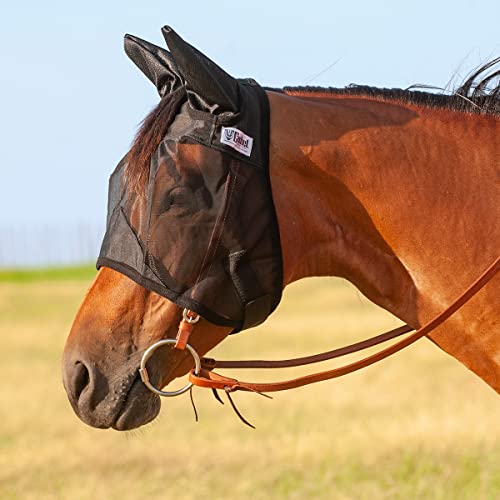 Cashel Quiet Ride Standard Fliegenmaske mit Ohren (QRDSE), Schwarz von Cashel