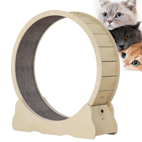 Cat Runner Wheel, Sicherheitsrücklauf-Katzen-Laufband für Innenkatzen, Katzenspinn-Übungsrad mit Verriegelungsvorrichtung, interaktiver Katzen-Spielzeug-Katzen-Gewichtsgerät,L Cat Runner Wheel, Sicherheitsrücklauf-Katzen-Laufband für Innenkatzen, Katzenspinn-Übungsrad mit Verriegelungsvorrichtung, interaktiver Katzen-Spielzeug-Katzen-Gewichtsgerät,L von Cashwise