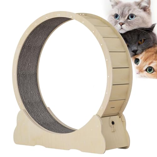 Cat Runner Wheel, Sicherheitsrücklauf-Katzen-Laufband für Innenkatzen, Katzenspinn-Übungsrad mit Verriegelungsvorrichtung, interaktiver Katzen-Spielzeug-Katzen-Gewichtsgerät,M von Cashwise
