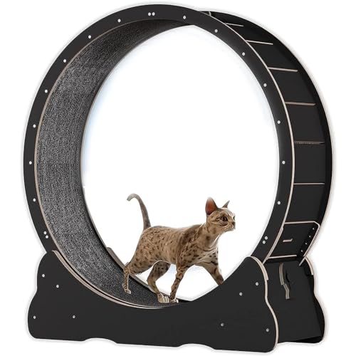 Katzen-Laufband, Innenkatze Spielzeug Katzenlaufrad, Katzenübungsrad mit Teppich Landebahn, No-Gap-Design Katzen Gewichtsverlustgerät für die meisten Katzen körperliche Bewegung Aktivität,Black-L von Cashwise