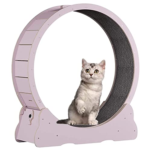 Katzen-Laufband, Innenkatze Spielzeug Katzenlaufrad, Katzenübungsrad mit Teppich Landebahn, No-Gap-Design Katzen Gewichtsverlustgerät für die meisten Katzen körperliche Bewegung Aktivität,Pink-L von Cashwise