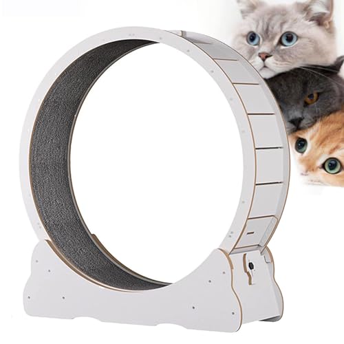 Katzen-Laufband, Innenkatze Spielzeug Katzenlaufrad, Katzenübungsrad mit Teppich Landebahn, No-Gap-Design Katzen Gewichtsverlustgerät für die meisten Katzen körperliche Bewegung Aktivität,White-XL von Cashwise