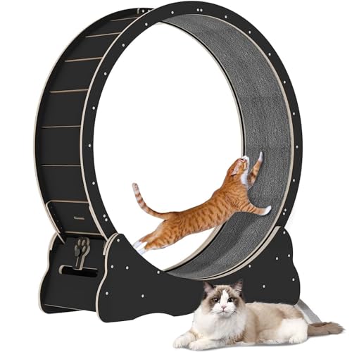 Katzen-Laufband, No-Lack-Design Katzenkletterrahmen, Sicherheit Stummes Katzentrainerrad mit integriertem Rad für Alle Dinge rennen, drehen, kratzen, Klettern und EIN Nickerchen Machen,Black-M Katzen-Laufband, No-Lack-Design Katzenkletterrahmen, Sicherheit Stummes Katzentrainerrad mit integriertem Rad für Alle Dinge rennen, drehen, kratzen, Klettern und EIN Nickerchen Machen,Black-M von Cashwise