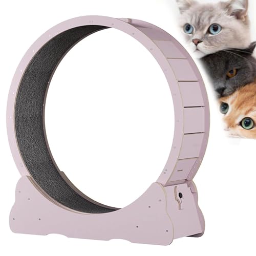 Katzen-Laufband mit No-Gap-Design, Trainingrad für Innenkatzen längere Lebensdauer, Sicherheit Anti-Pinch Stummes Katze Running Rad, Katzen Gewichtsverlustgerät mit Verriegelungsvorrichtung,Pink-XL von Cashwise