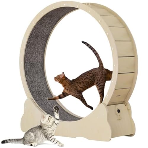 Katzenrad-Katzen-Übungsrad für Innenkatze, No-Lack-Design-Katzenlaufrad mit Teppichsteg und Verriegelungsvorrichtung, Katzen-Laufbandrad für die längere Lebensdauer der Katze,M von Cashwise