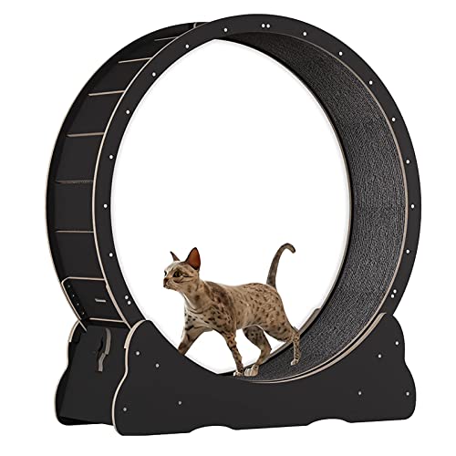 Katzenübungsrad, Haustierkatze Kletterrahmen Laufband mit No-Lack-Design und Verriegelungsgerät, Katzenkratzplatte für kleine/mittelgroße Haustier-Innenübungen, Glatte Lauf frei,Black-L Katzenübungsrad, Haustierkatze Kletterrahmen Laufband mit No-Lack-Design und Verriegelungsgerät, Katzenkratzplatte für kleine/mittelgroße Haustier-Innenübungen, Glatte Lauf frei,Black-L von Cashwise