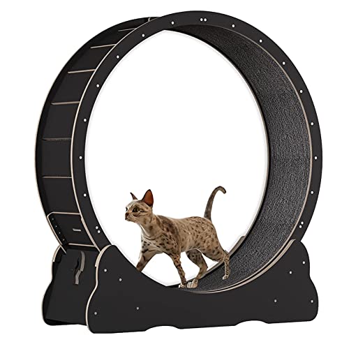 Katzenübungsrad, Haustierkatze Kletterrahmen Laufband mit No-Lack-Design und Verriegelungsgerät, Katzenkratzplatte für kleine/mittelgroße Haustier-Innenübungen, Glatte Lauf frei,Black-L von Cashwise