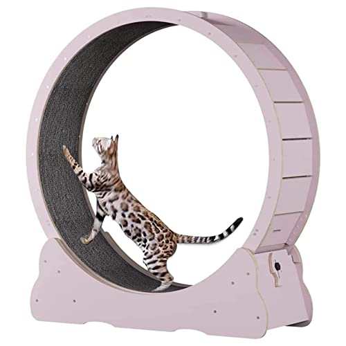 Katzenübungsrad, Haustierkatze Kletterrahmen Laufband mit No-Lack-Design und Verriegelungsgerät, Katzenkratzplatte für kleine/mittelgroße Haustier-Innenübungen, Glatte Lauf frei,Pink-XL Katzenübungsrad, Haustierkatze Kletterrahmen Laufband mit No-Lack-Design und Verriegelungsgerät, Katzenkratzplatte für kleine/mittelgroße Haustier-Innenübungen, Glatte Lauf frei,Pink-XL von Cashwise