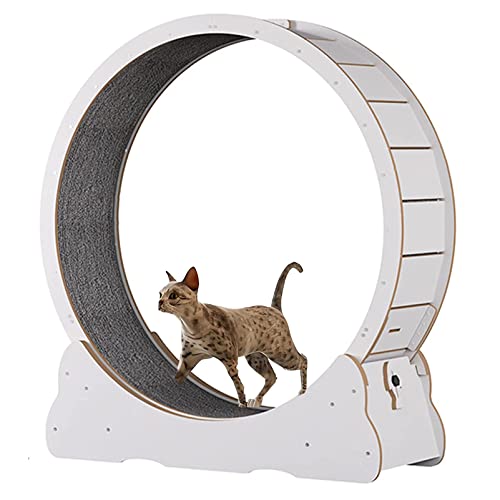 Katzenübungsrad, Haustierkatze Kletterrahmen Laufband mit No-Lack-Design und Verriegelungsgerät, Katzenkratzplatte für kleine/mittelgroße Haustier-Innenübungen, Glatte Lauf frei,White-L von Cashwise