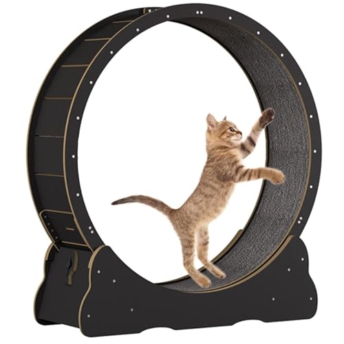 Katzenübungsrad, No-Gap-Design Katzen-Laufband, natürliches massives Holzkatze Laufrad mit Schlössern und Teppich, Katzenlaufmaschine für Gewichtsverlust oder energetische Katze,Black-L Katzenübungsrad, No-Gap-Design Katzen-Laufband, natürliches massives Holzkatze Laufrad mit Schlössern und Teppich, Katzenlaufmaschine für Gewichtsverlust oder energetische Katze,Black-L von Cashwise