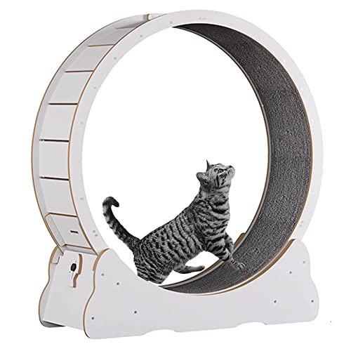 Katzenübungsrad, No-Gap-Design Katzen-Laufband, natürliches massives Holzkatze Laufrad mit Schlössern und Teppich, Katzenlaufmaschine für Gewichtsverlust oder energetische Katze,White-XL von Cashwise