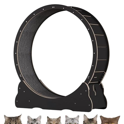 Katzenübungsrad, Sicherheit Stummes Katzen -Laufband für Innenkatze, Katzenlaufrad mit Teppichsteg, Fitness -Gewichtsverlust -Gerät, Katzensportspielzeug für die längere Lebensdauer,Black-L Katzenübungsrad, Sicherheit Stummes Katzen -Laufband für Innenkatze, Katzenlaufrad mit Teppichsteg, Fitness -Gewichtsverlust -Gerät, Katzensportspielzeug für die längere Lebensdauer,Black-L von Cashwise