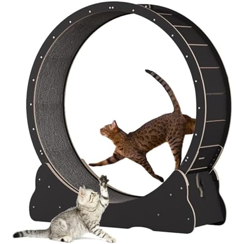 Katzenübungsrad für Innenkatzen, No-Lack-Design-Katzen-Katze-Laufrad mit Teppichstraße, Sicherheit Anti-Pinch Silent Cat Treadmühle für die längere Lebensdauer der Katze, Katzen,Black-L von Cashwise