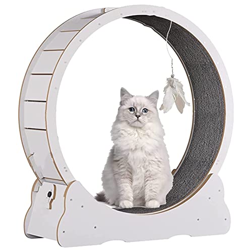 No-Lack-Design-Katzen-Laufband, Katzen Gewichtsverlust Gerät Holzkatze Übungsrad mit Teppich Landebahn, Sicherheit Stummes Katze Laufrad mit Verriegelungsvorrichtung zum Training,White-XL von Cashwise