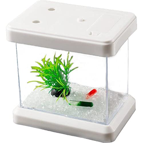 Mini Buntes Fischtank Kreatives Aquarium Fischspinnen Tank Kleine Reptilien Haustierkasten Home Dekoration Farbe Abnehmbar von Casiler