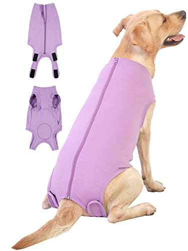 Caslfuca Hunde-Operationsanzug – Nach dem Spay, Bauchwunden, nach chirurgischer Erholung, Anti-Lecken atmungsaktiv, Hunde-Einteiler für kleine, alternative Bandagen, kegelförmiges E-Halsband von Caslfuca
