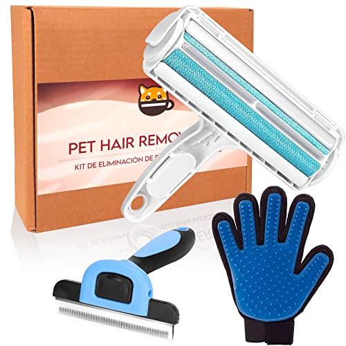 Cassary Tierhaarentferner Fusselrolle, Tierhaarbürste und Hunde- Katzenhandschuh. Fusselrolle für tierhaare für Sofa, Bett..., Katzenbürste/Hundebürste und fellpflege Handschuh für Katze und Hunde Cassary Tierhaarentferner Fusselrolle, Tierhaarbürste und Hunde- Katzenhandschuh. Fusselrolle für tierhaare für Sofa, Bett..., Katzenbürste/Hundebürste und fellpflege Handschuh für Katze und Hunde von Cassary
