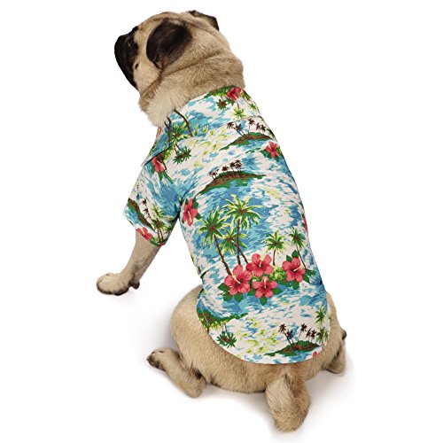Casual Canine Hawaiian Breeze Camp Shirt for Dogs,Blue 16" Medium von Casual Canine