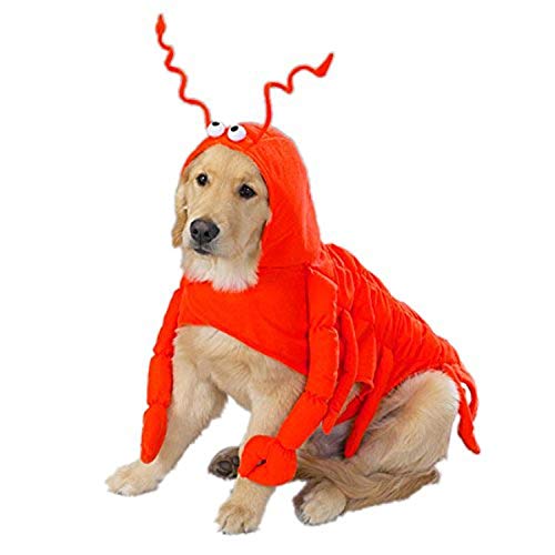 Casual Canine Lobster Paws Hundekostüm, Größe M, für Längen bis 40,6 cm, Rot/Orange von Casual Canine