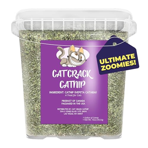Cat Crack Katzenminze, zoomie-induzierende Katzenminze-Mischung, hergestellt in Nordamerika, 100 % natürlich, sichere und nicht süchtig machende Katzenminze-Leckerlis zur Ergänzung von Cat Crack Katzenminze, zoomie-induzierende Katzenminze-Mischung, hergestellt in Nordamerika, 100 % natürlich, sichere und nicht süchtig machende Katzenminze-Leckerlis zur Ergänzung von von Cat Crack