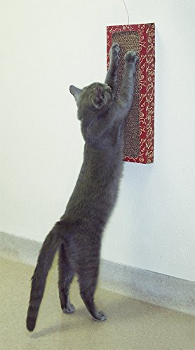 Cat Dancer Products CATD0705D Katzenspielzeug Wall Scratcher von CAT DANCER