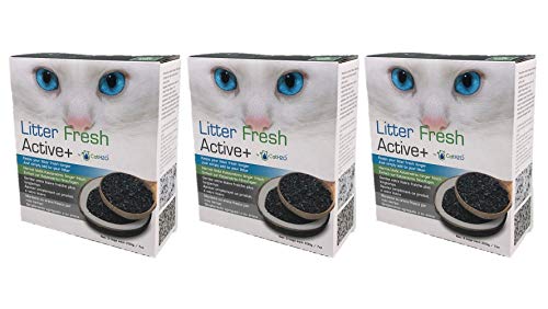 Cat H2O Litter Fresh Active+, 1,2 l (6 Beutel mit je 200 ml), natürlicher Katzenstreu-Deodorizer mit Aktivkohle auf Kokosnussbasis von Cat H2O