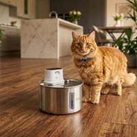 Cat Mate 2,2-Liter kabelloser Katzen-Trinkbrunnen aus Edelstahl von Cat Mate
