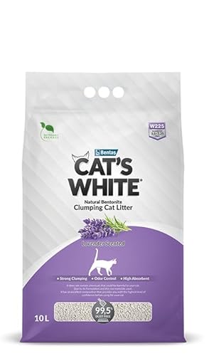 Cat's White Duftende Katzentoilette mit Lavendelduft, für Katzen, Geruchsabnahme für Katzen und Kätzchen, 10 l von Cat's White