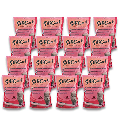 CatAmore Silicat Silikat Katzenstreu - 16 x 3,8 l (60 l) | Hochabsorbierend, staubfrei, geruchsbindend, antibakteriell | Nicht klumpend, für empfindliche Katzen geeignet von CatAmore
