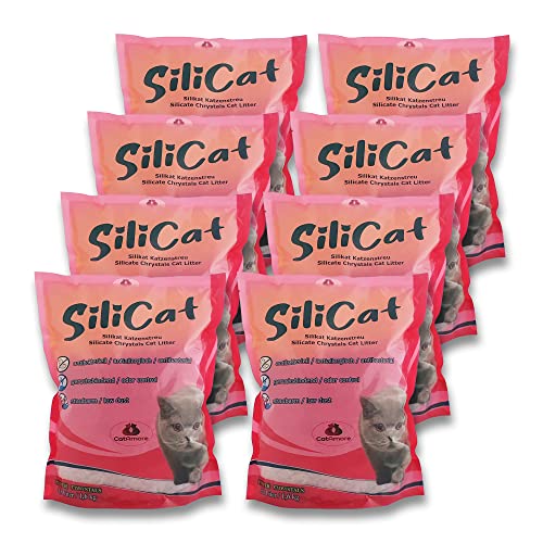 CatAmore Silicat Silikat Katzenstreu - 8 x 3,8 l (30 l) | Hochabsorbierend, staubfrei, geruchsbindend, antibakteriell | Nicht klumpend, für empfindliche Katzen geeignet von CatAmore