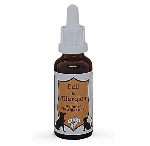 CatAmore Vitalpilze Flüssigextrakt für Tiere Heilpilze Mykotherapie | Fell & ALLERGIEN | Nahrungsergänzungsmittel 30ml von CatAmore