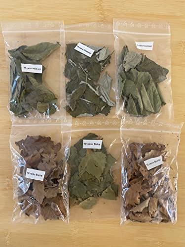 Nano Laubmix 6 Sorten (Eiche, Brombeer, Buche, Himbeer, Birke + Haselnuss) für Aquarien Garnelen Schnecken Fische Welse von Catappa-Leaves.de Aquaristik Naturprodukte Import & Export