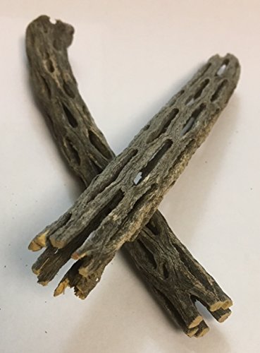 Catappa-Leaves Natur Deko für Aquarien und Terrarien 2 Stücke Cholla Kaktus Holz ~15mm Ø x 150mm lang Catappa-Leaves Natur Deko für Aquarien und Terrarien 2 Stücke Cholla Kaktus Holz ~15mm Ø x 150mm lang von Catappa-Leaves